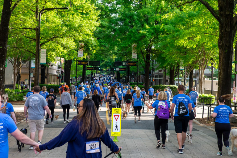 mutt strut in downtown greenville